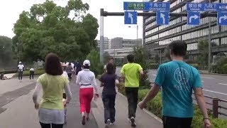 preview picture of video 'Japan Trip 2014 Tokyo Imperial Palace Running (皇居ランニング)'