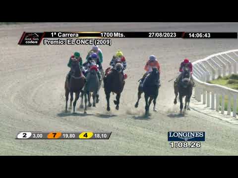 230827 c01 UNIVERSAL HORSE (BRZ)