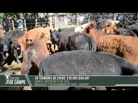 Resumen del remate de Hugo R. Aristegui - Miércoles 7 de noviembre - Cacharí