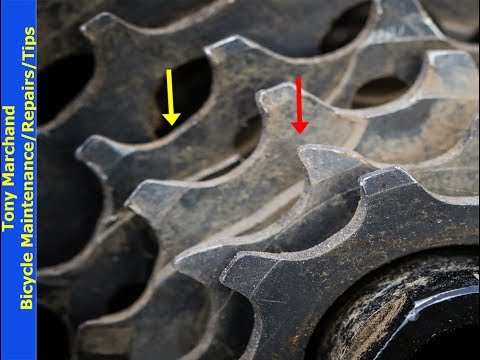 How to check for bicycle cassette cog wear and when to replace cassette