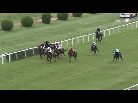 Koně a sport - Letní dostihový den 26. 7. 2025 - Chuchle Arena Praha