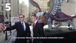 Miniatura de video: Las cinco de la semana