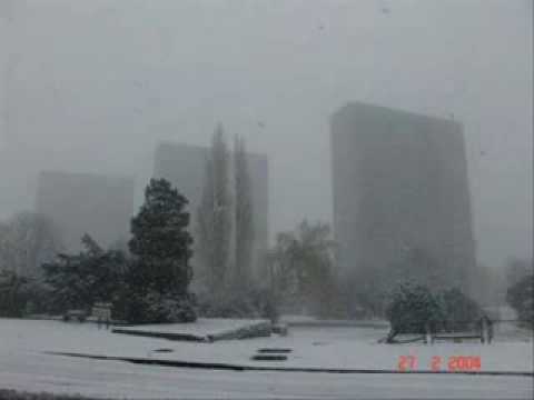 K-sociaux-ma generation