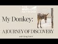 Greg Grant Takes Us On A Journey Of Discovery In My Donkey