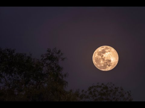 Lunita Viñatera - Hernan Figueroa Reyes