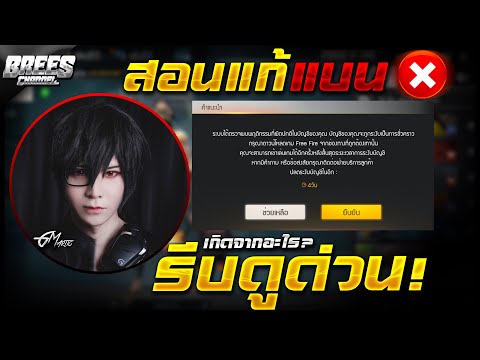 ฟีฟาย