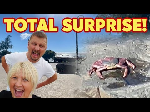 Tourists Don’t Expect This at Playa Blanca 😳 