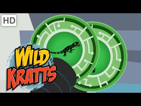 Wild Kratts - Activate Reptile Creature Power!
