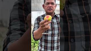 Download lagu Dangerous scene!! Don't imitate this at home 😅 mp3 Download lagu Dangerous scene!! Don't imitate this at home 😅 mp3