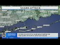 Police: 15-year-old bitten by shark off Fire Island