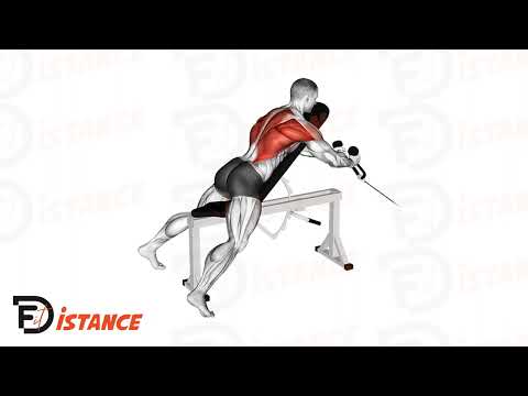 Exercice Rowing poulie basse corde appui contre un banc