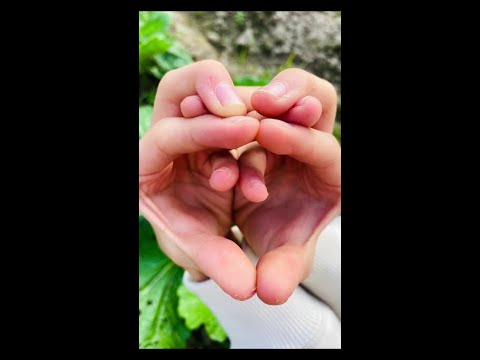 How to make finger cobra.