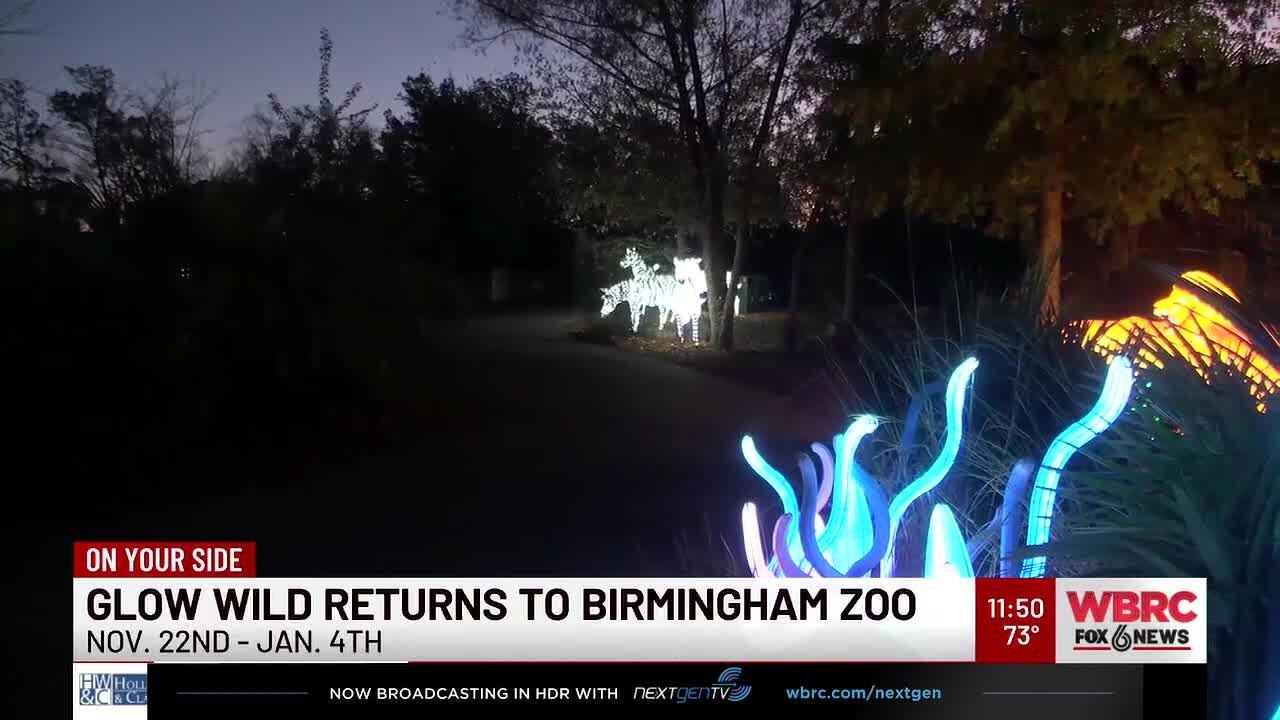 Glow Wild returns to the Birmingham Zoo