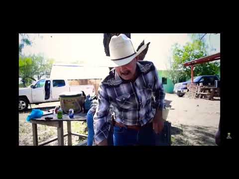 Don Pilo - No la echamos - Troleo Nivel Dios