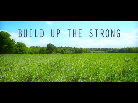 Juliette Ashby - Build Up The Strong // Official Music Video