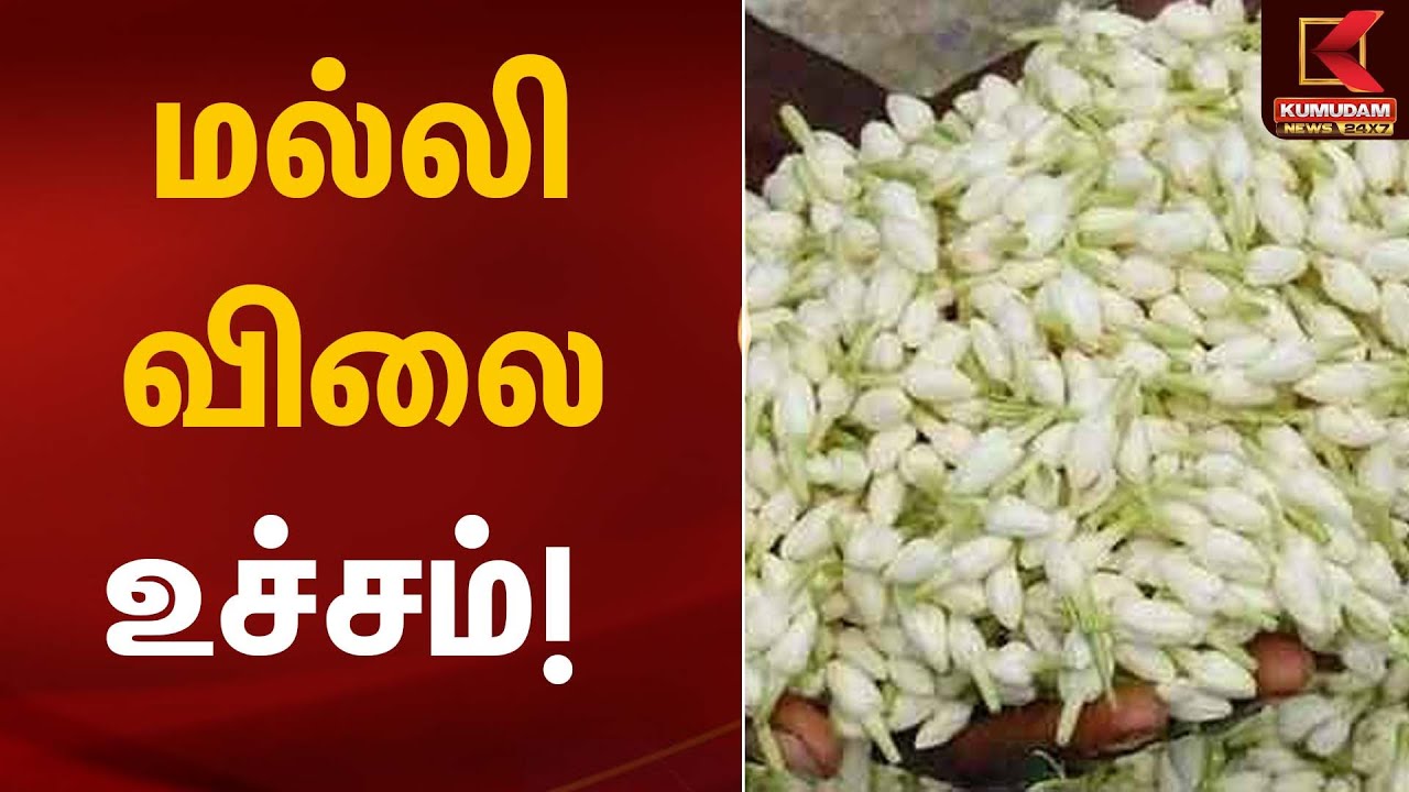 மல்லி விலை உச்சம்!  |Jasmine Price Hike | Kumudam News