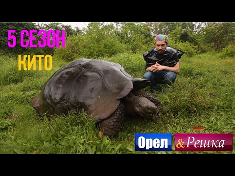 Орел и решка. 5 сезон - Эквадор | Кито