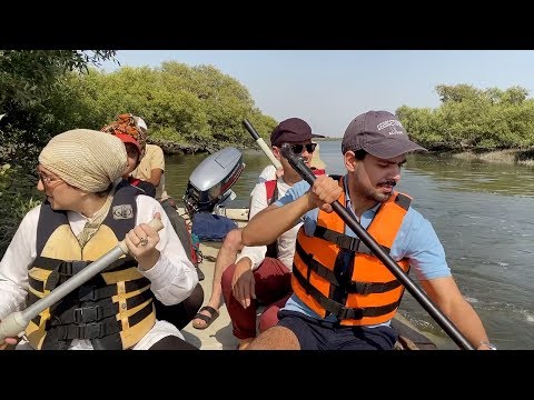 Mangrove Adventure in Karachi