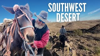 Download lagu Cowboy Rides into the Desert | 72 Minutes of Remote Trails & Hidden History mp3 Download lagu Cowboy Rides into the Desert | 72 Minutes of Remote Trails & Hidden History mp3