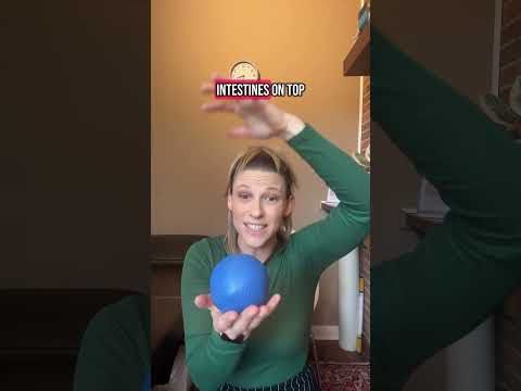 How stress impacts your bladder and what to do #bladderproblems #bladder #overactivebladder