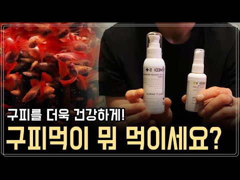 , title : '구피먹이,사료/구피영양제만들기/질병예방하는법/매디피쉬'