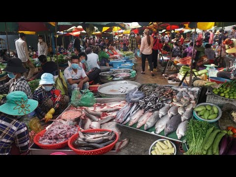 Morning Daily Life Style @Phsa Chhbar Ampov - Amazing Street Food Market Scenes in Chhbar Ampov