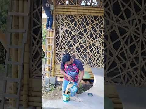 Bambúzero amazónico trabajando en caña Guadua y bambú aquí en Tena Napo Ecuador casas de caña Guadua