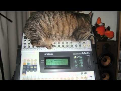 Star Opus II - tribute to J.M Jarre