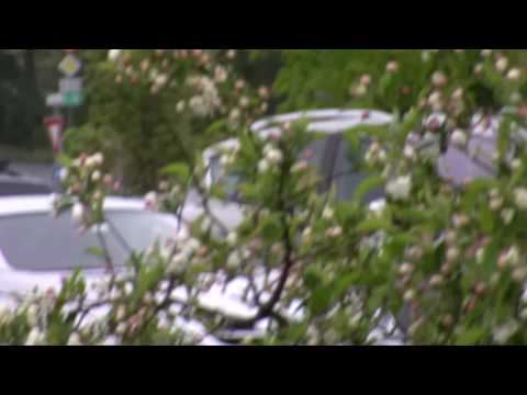 HF11 P-Mode PF25 1080i Pull-Down Video Test