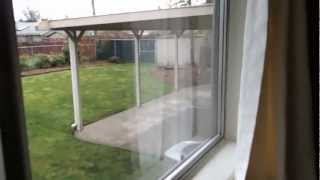 2095 Polk St. Video Walkthrough