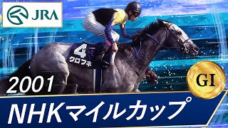 [史實] 卡蓮醬的父親黑船從種牡馬引退