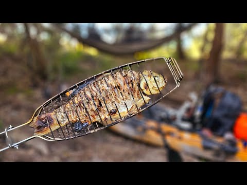 🎣KAYAK FISHING ADVENTURE IN THE DELTA WILDLAND continues - 4 DAYS in the DANUBE DELTA -Part 2