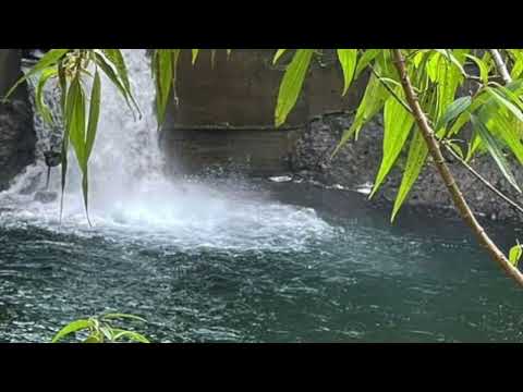 image : La côte de Ste Lucie (Caraïbes)