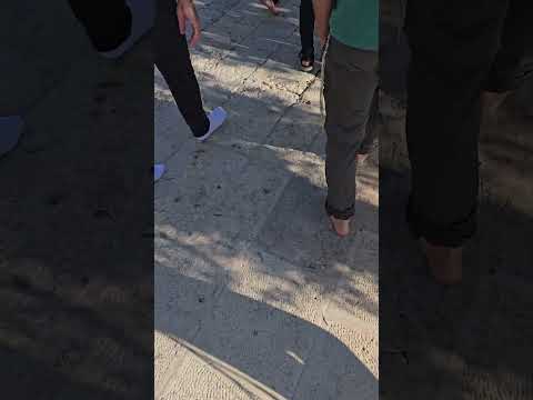 Walking in the holy temple mount | עליה בטהרה כהלכה #mikdash #jerusalem #prayforisrael #nevergiveup