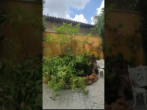 Fazenda Morumbi / São Paulo