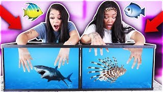WHAT&#39;S IN THE BOX CHALLENGE - UNDERWATER EDITION OCEAN ANIMALS!!