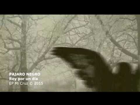 Rey por un día - Pájaro negro 2015