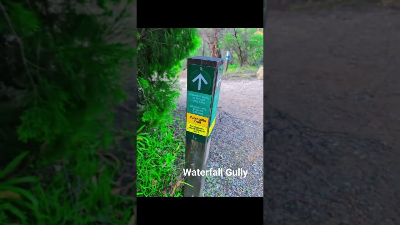 YouTube Short thumbnail