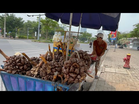 Adventure of Eating Nipa Palm Fruit From A Street Vendor in Ho Chi Minh City, Vietnam - April 2023
