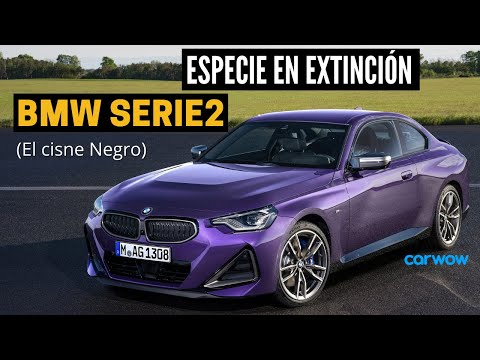 DEPORTIVO y PARA EL DÍA A DÍA: EL BMW «SERIO» 2 ES UNA ESPECIE EN EXTINCIÓN