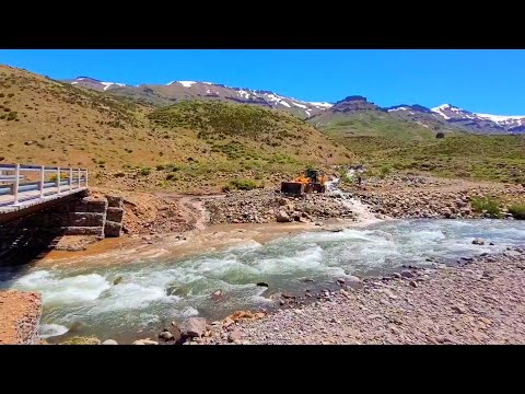 Pichi Neuquén - Las Ovejas - Neuquén