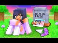 The END of APHMAU...