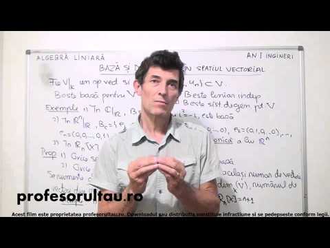 24   Baza si dimensiune in spatiul vectorial   partea 1 - profesorultau.ro