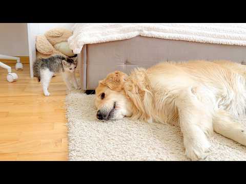 YouTube 썸네일
