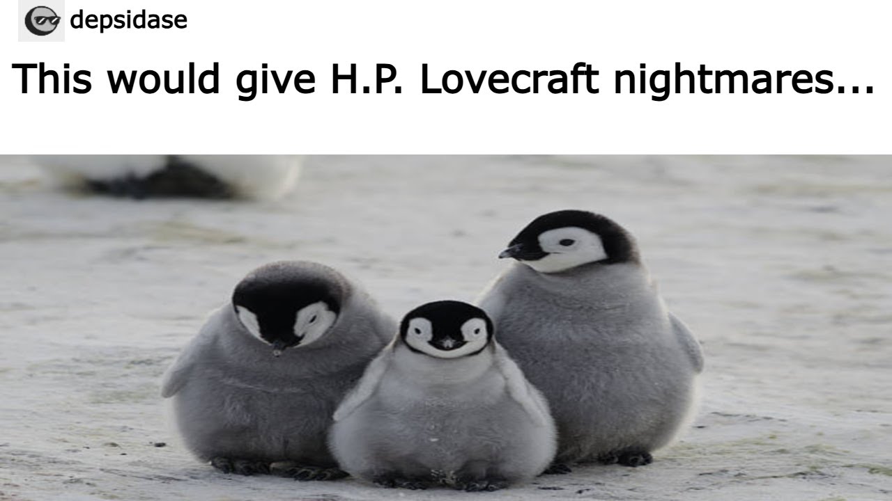 Funny Tumblr Posts | Binge Compilation #24