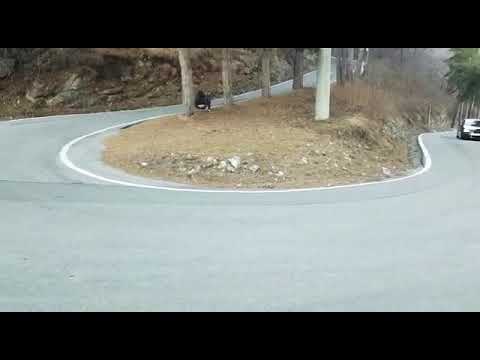 Vw Golf R32 Mk5 sound Full Skat Milltek Exhaust