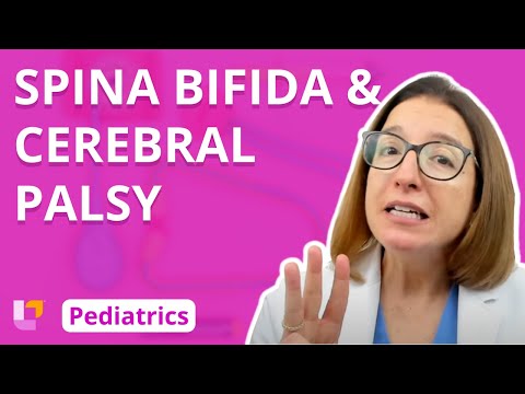 Spina Bifida, Cerebral Palsy - Pediatric Nursing - Nervous System Disorders | @LevelUpRN
