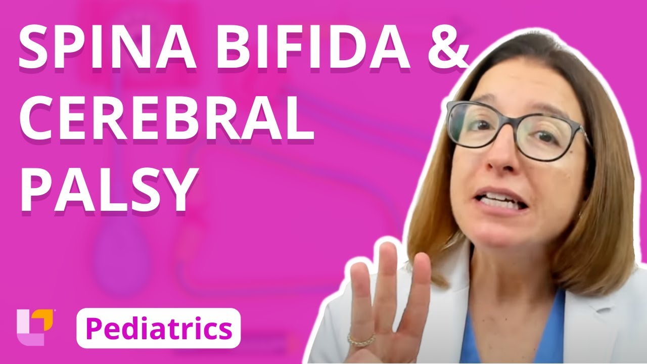 Spina Bifida, Cerebral Palsy - Pediatric Nursing - Nervous System Disorders | @LevelUpRN