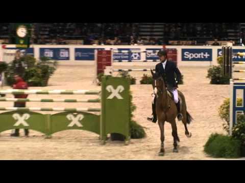 Voltaire KWPN (Now Or Never M)