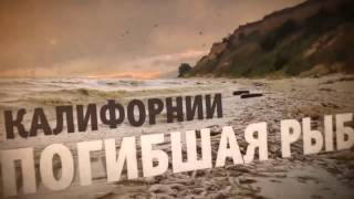 21 декабря 2012 время пришло flv